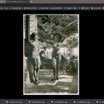 ile-naturiste-du-levant-bazar-20220219-003