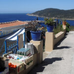 ile-naturiste-du-levant-bazar-20220219-004